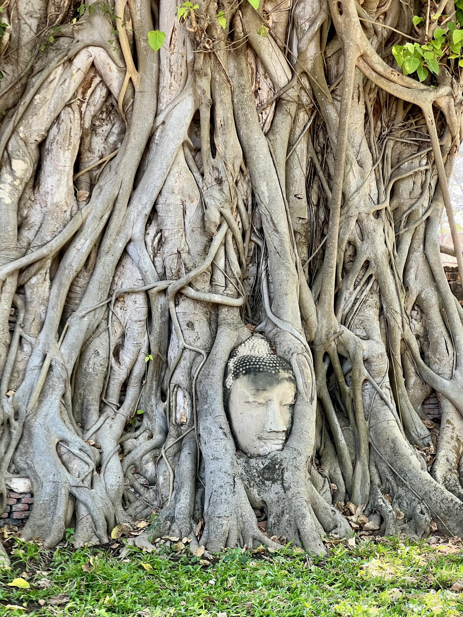 Wat Mahathat d'Ayutthaya : Temple de la Grande Relique